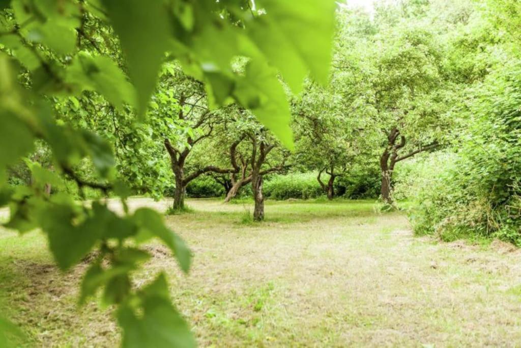 Coccinelle Villa Biggekerke Bagian luar foto